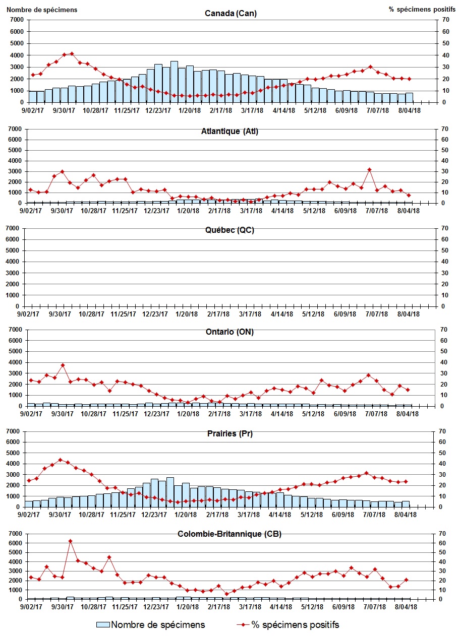 Figure 7. La version textuelle suit.