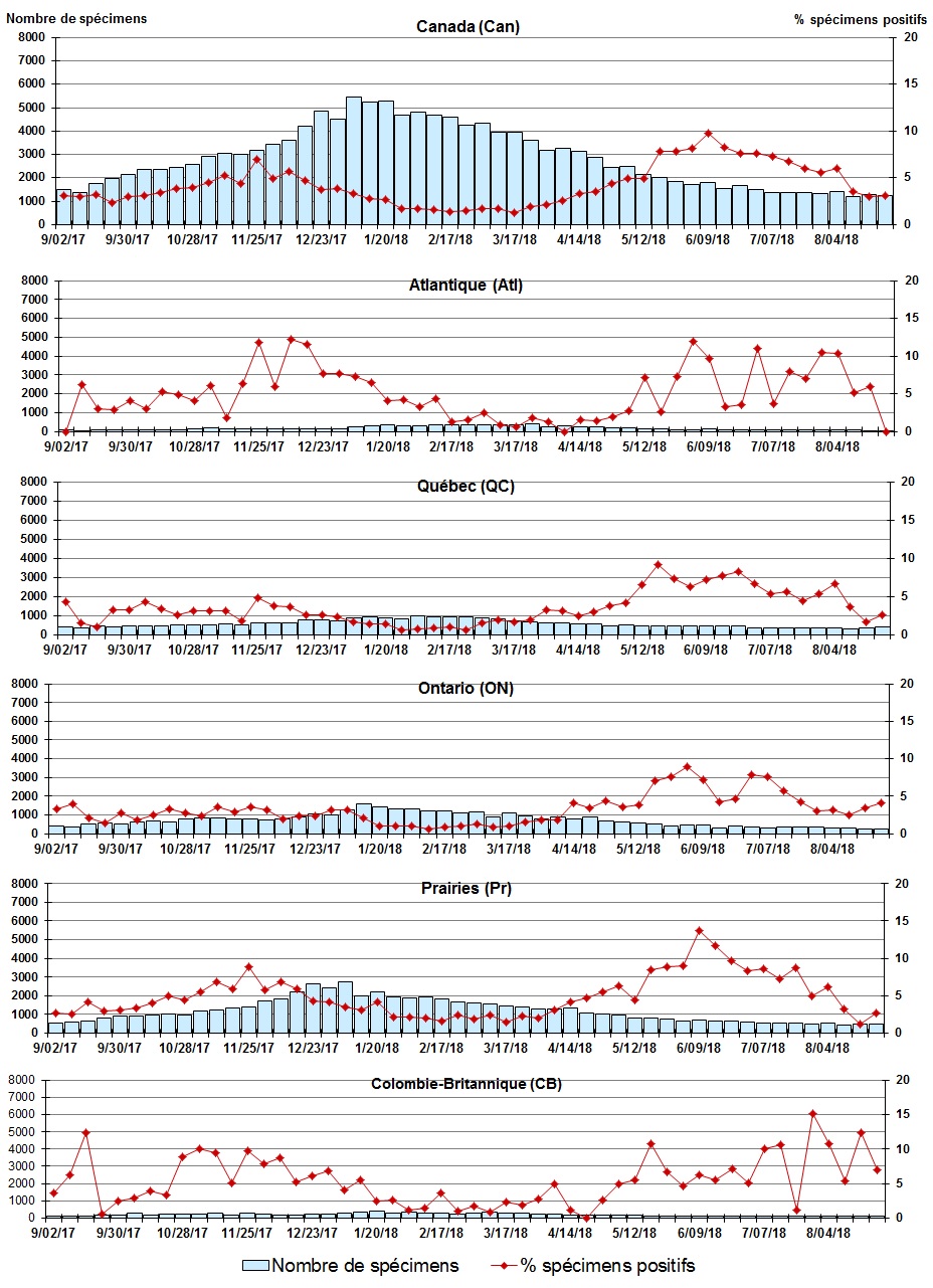 Figure 4. La version textuelle suit.