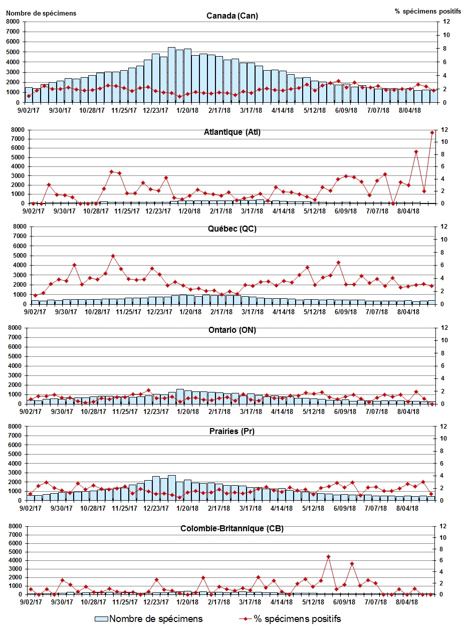 Figure 5. La version textuelle suit.