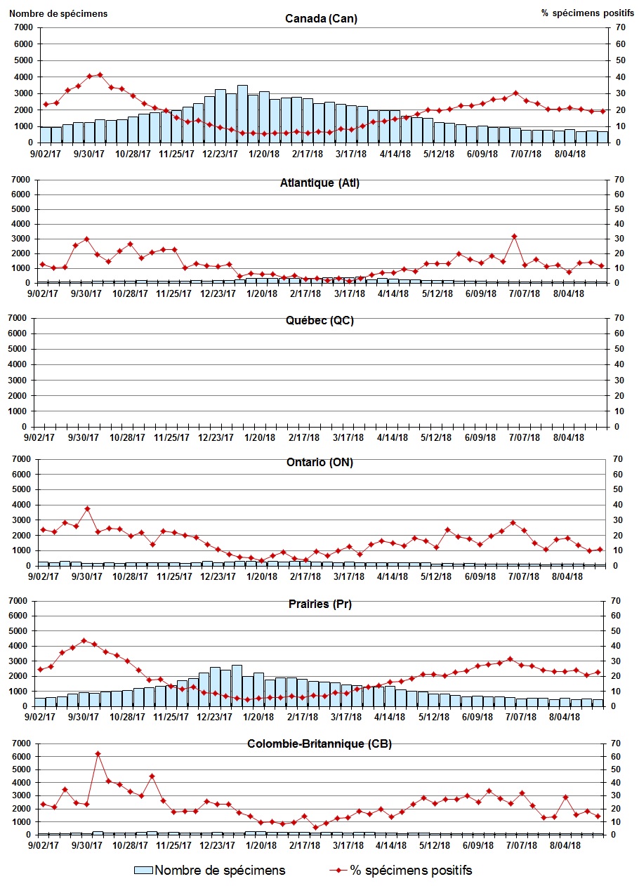 Figure 7. La version textuelle suit.