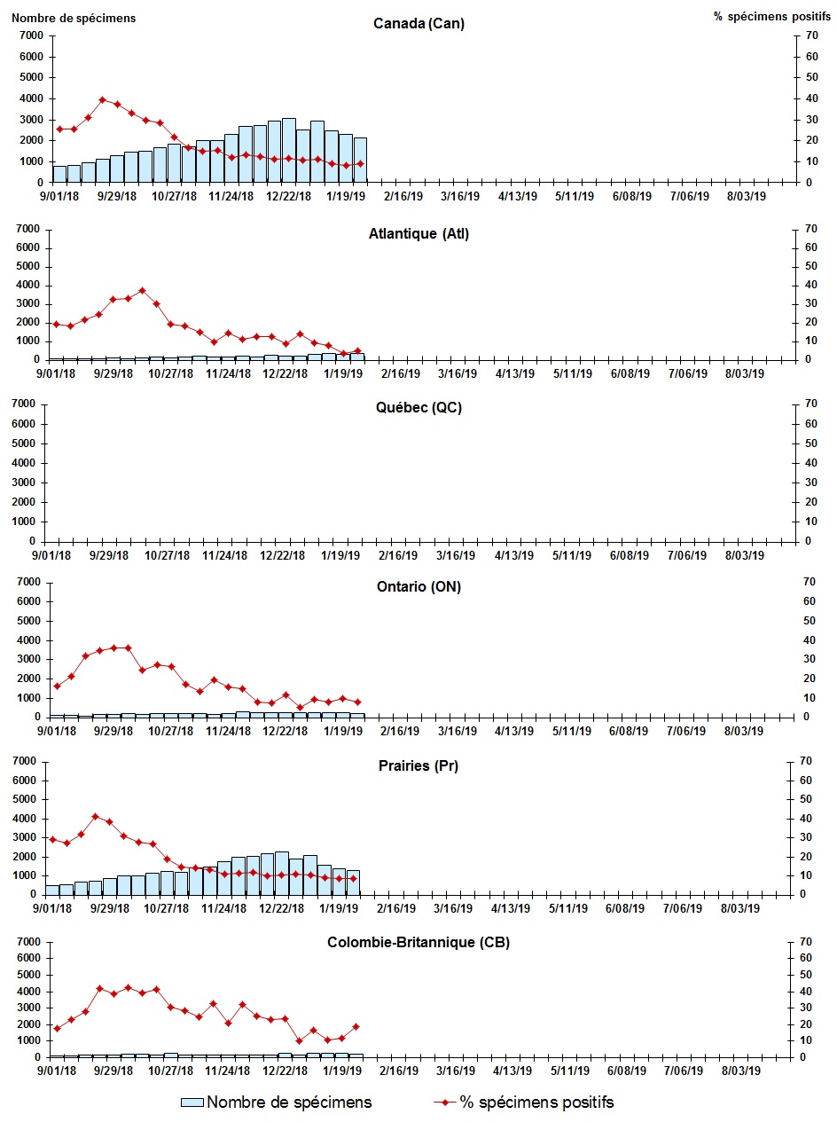 Figure 7. La version textuelle suit.