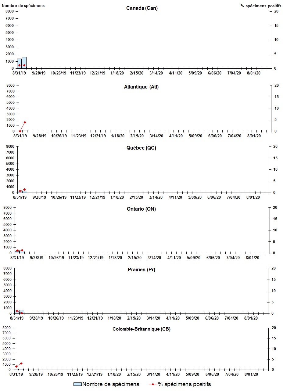 Figure 4. La version textuelle suit.