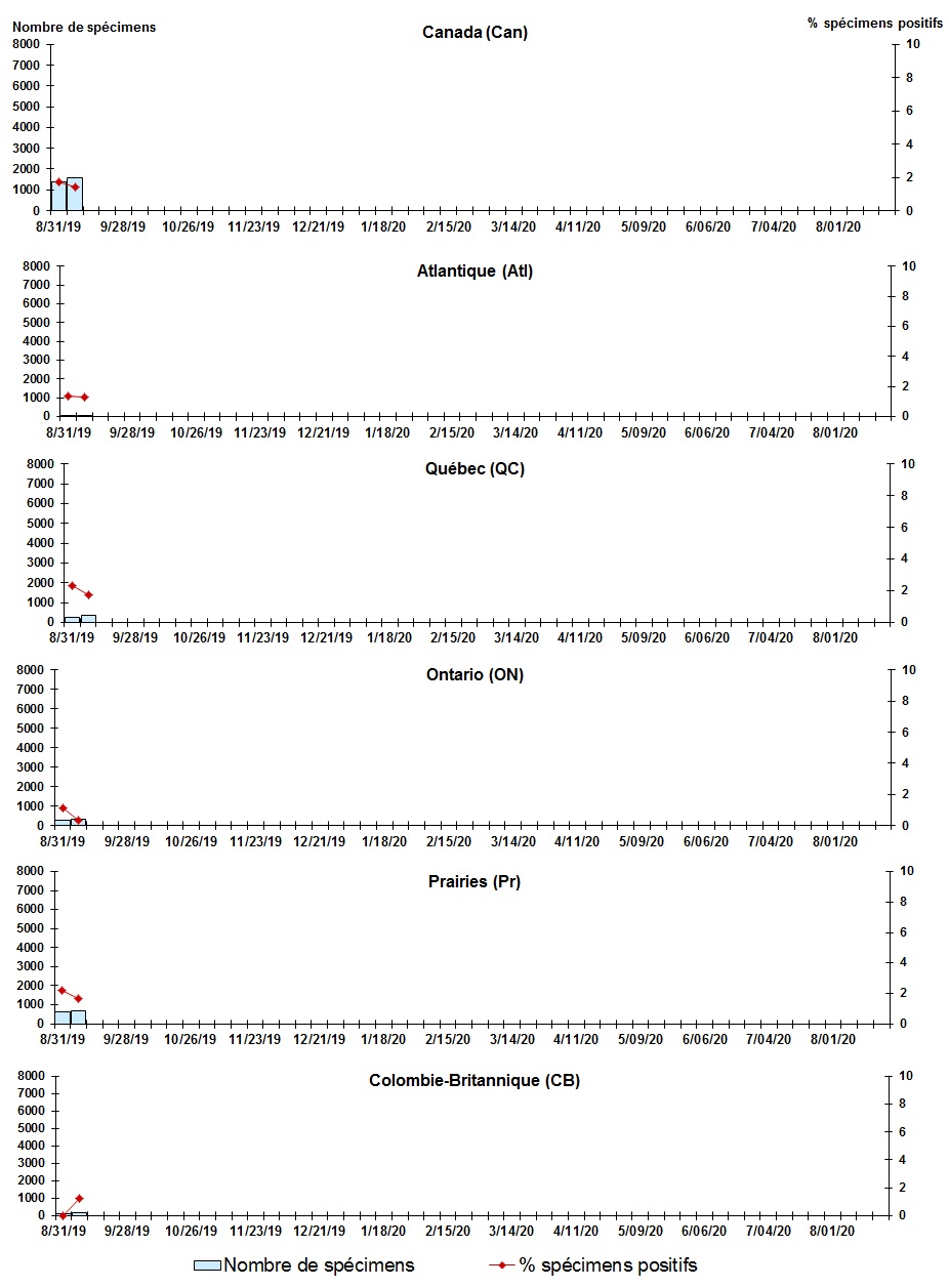 Figure 5. La version textuelle suit.