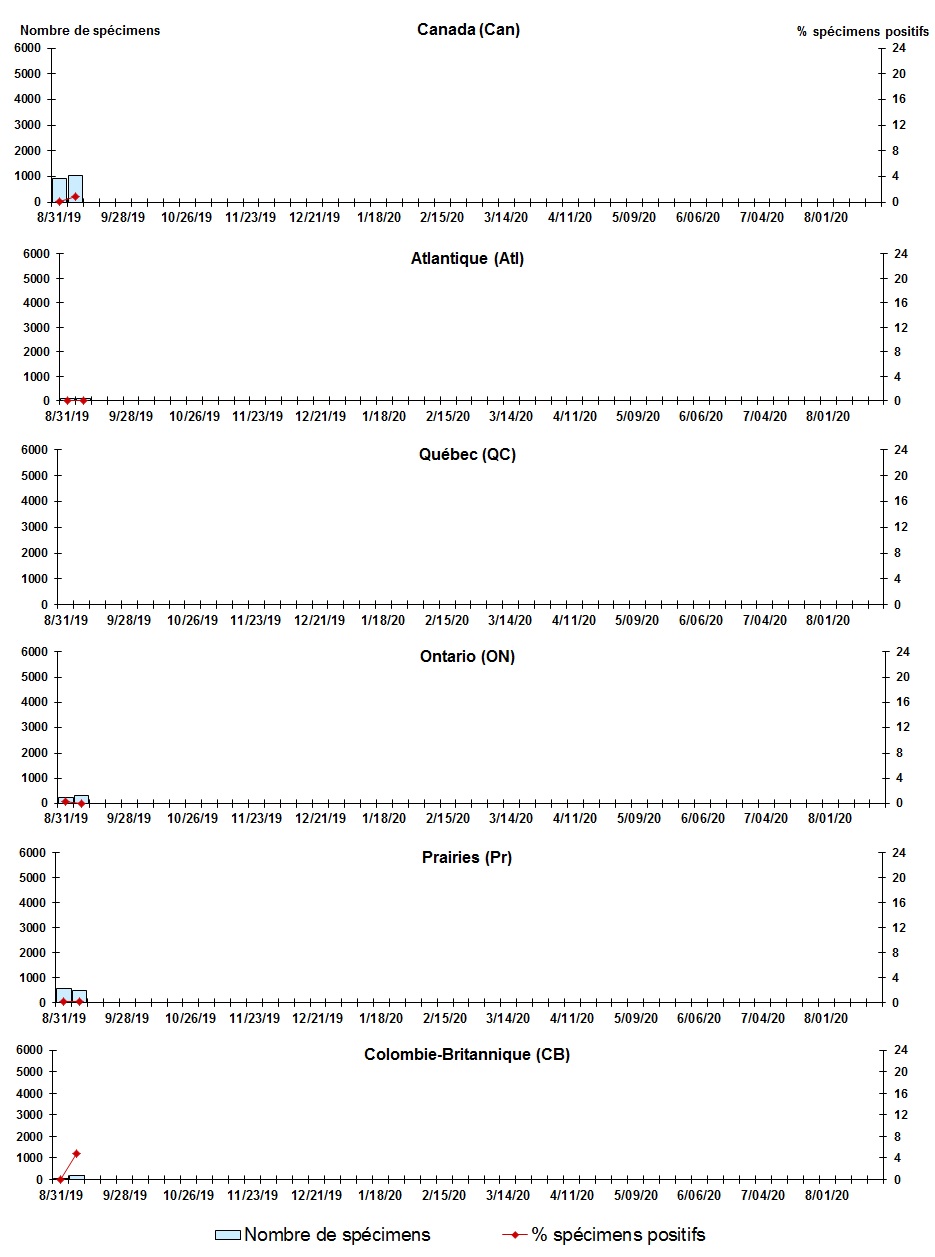 Figure 6. La version textuelle suit.