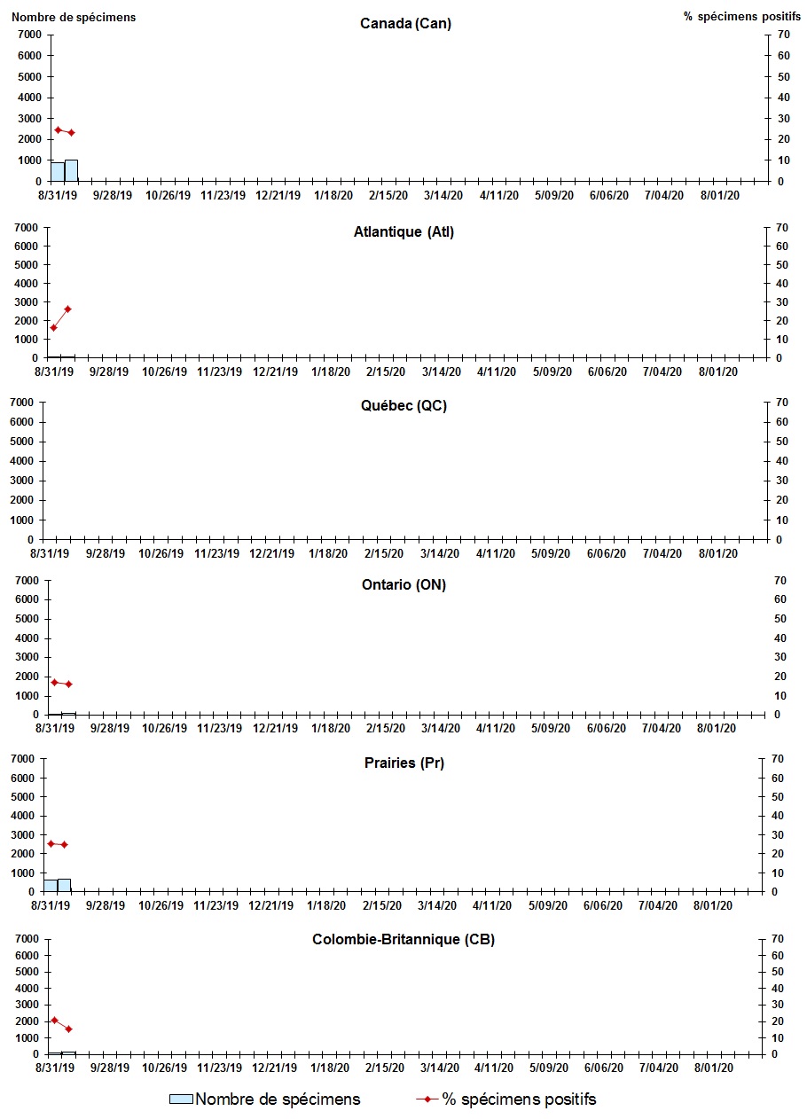 Figure 7. La version textuelle suit.
