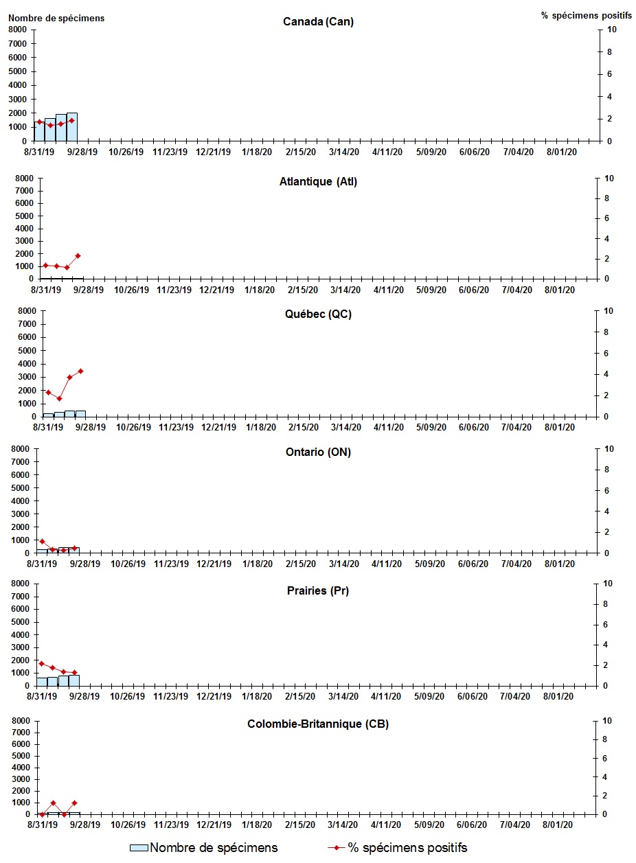 Figure 5. La version textuelle suit.