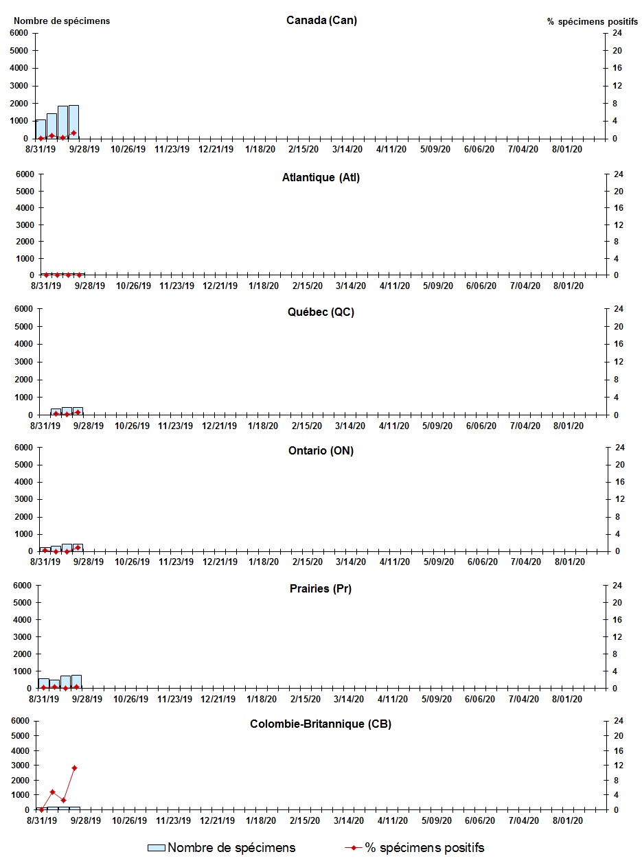 Figure 6. La version textuelle suit.
