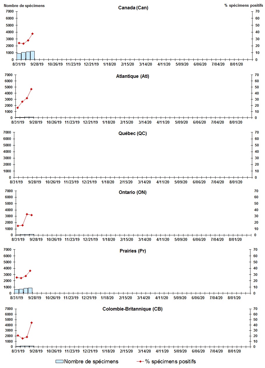 Figure 7. La version textuelle suit.