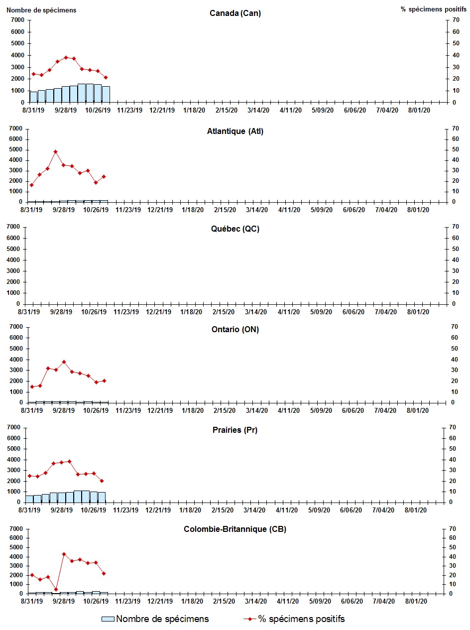 Figure 7. La version textuelle suit.