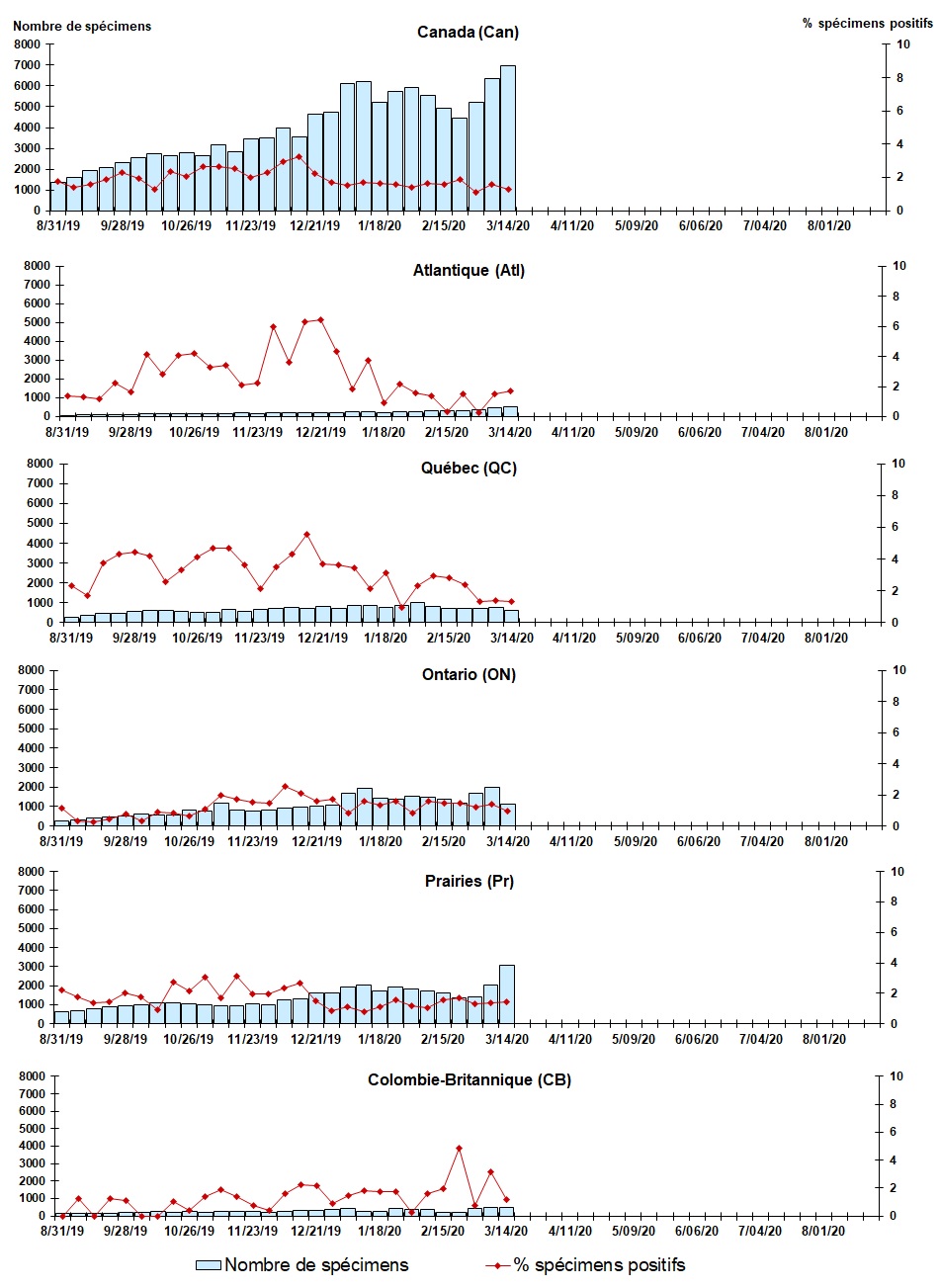 Figure 5. La version textuelle suit.