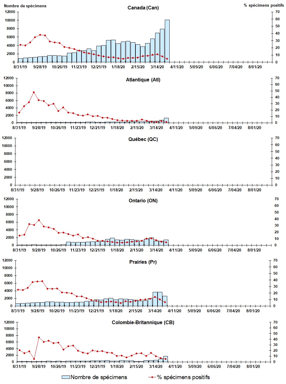 Figure 7. La version textuelle suit.