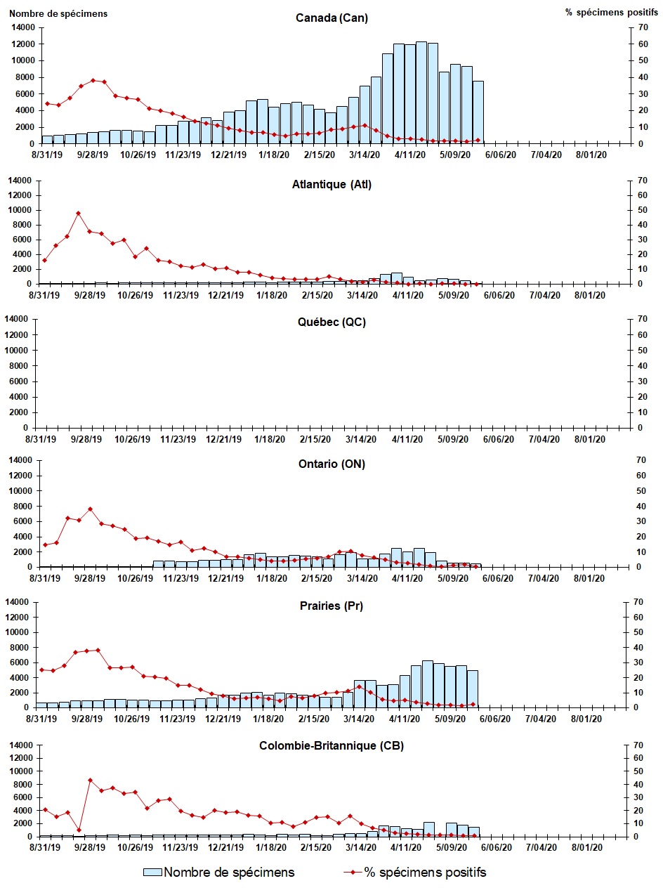 Figure 7. La version textuelle suit.