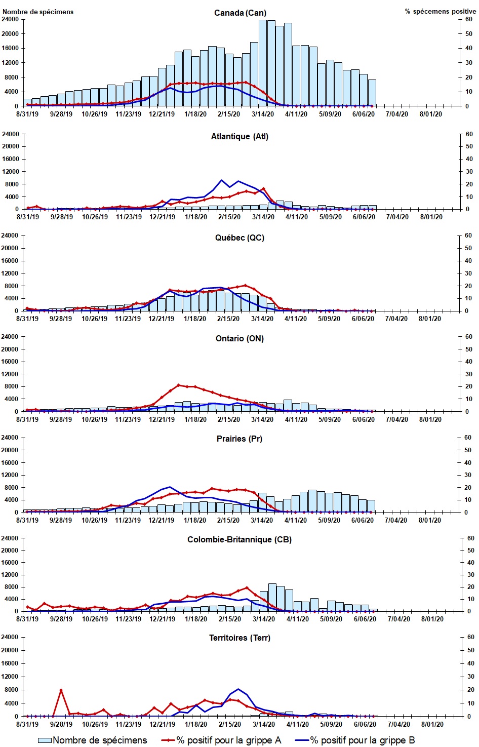 Figure 2. La version textuelle suit