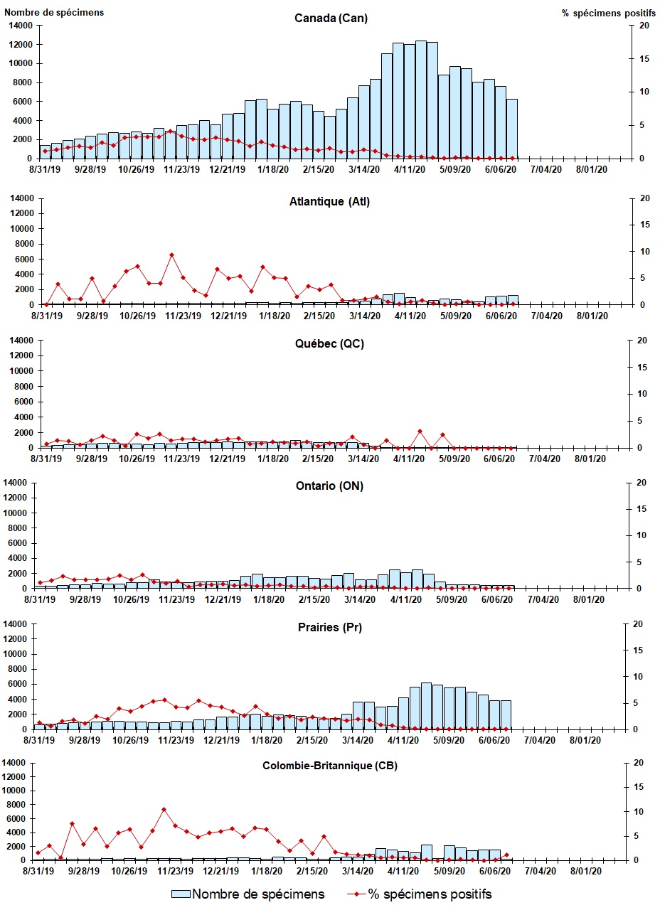 Figure 4. La version textuelle suit