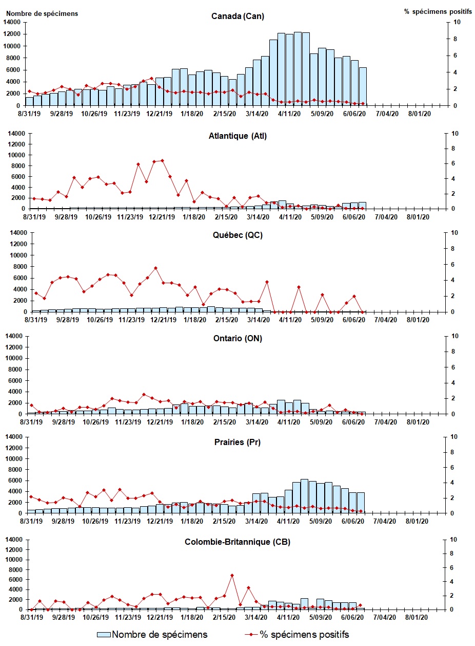 Figure 5. La version textuelle suit
