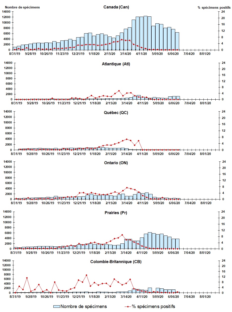 Figure 6. La version textuelle suit