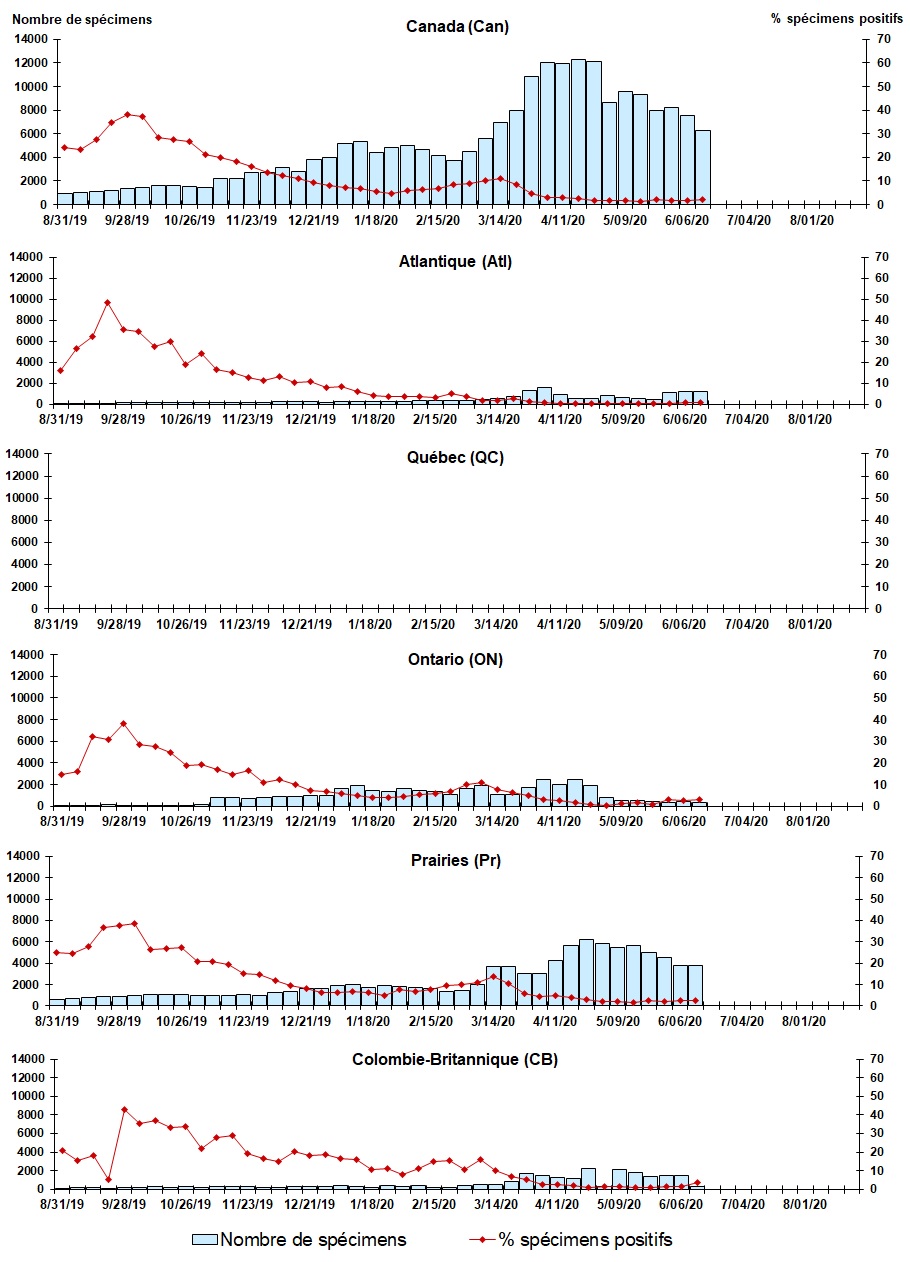 Figure 7. La version textuelle suit