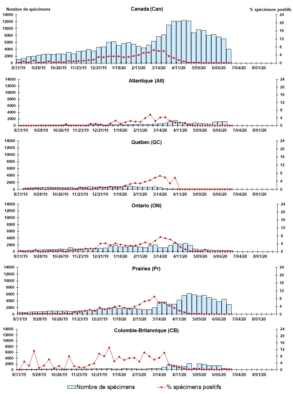 Figure 6. La version textuelle suit