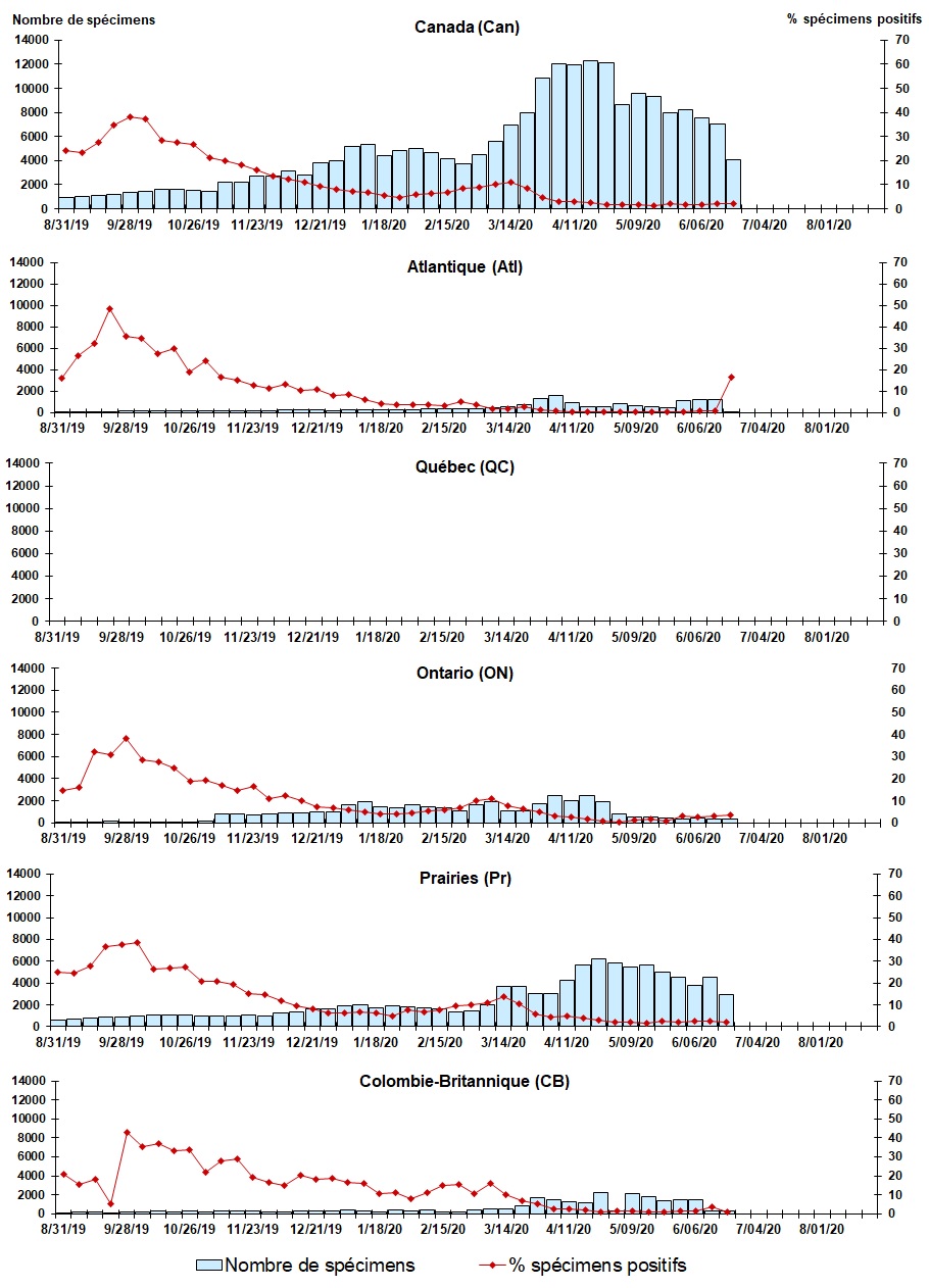 Figure 7. La version textuelle suit