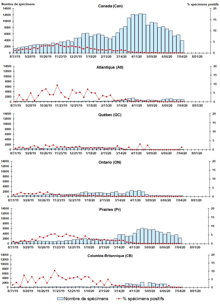 Figure 4. La version textuelle suit