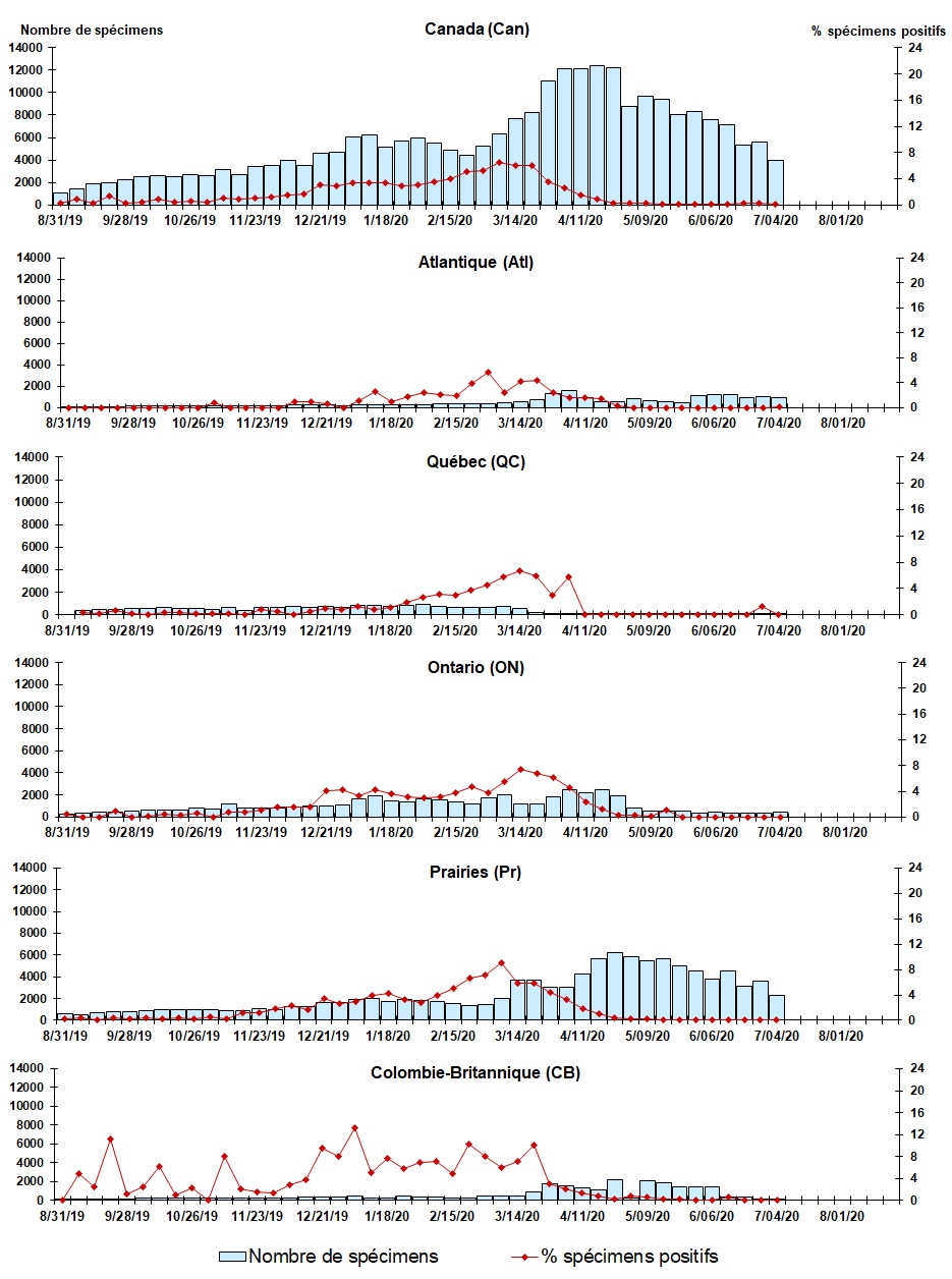 Figure 6. La version textuelle suit