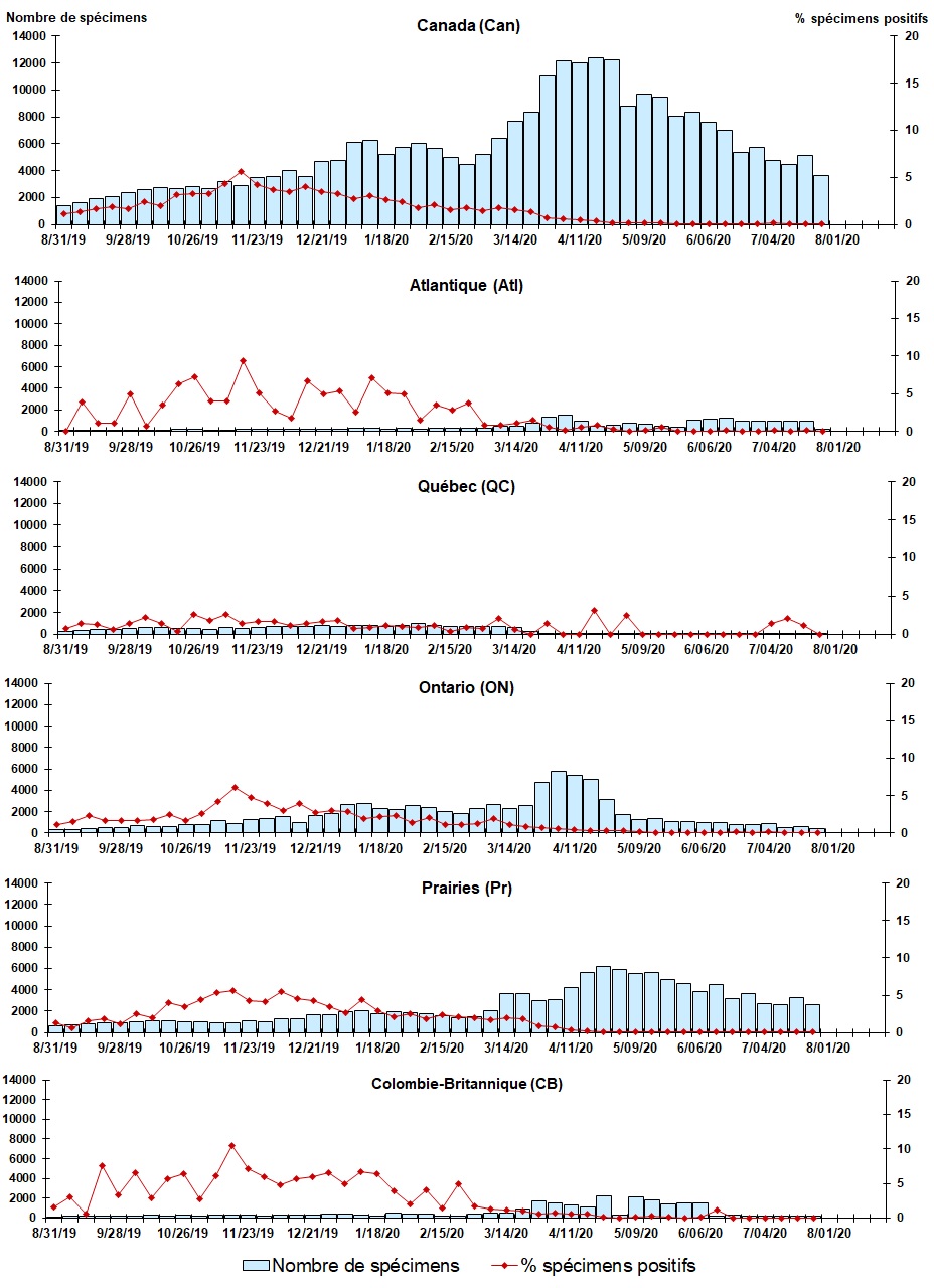 Figure 4. La version textuelle suit