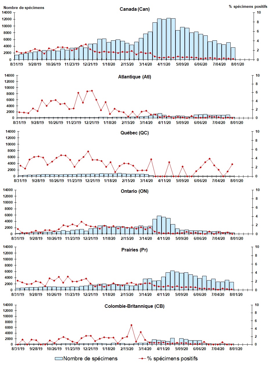 Figure 5. La version textuelle suit