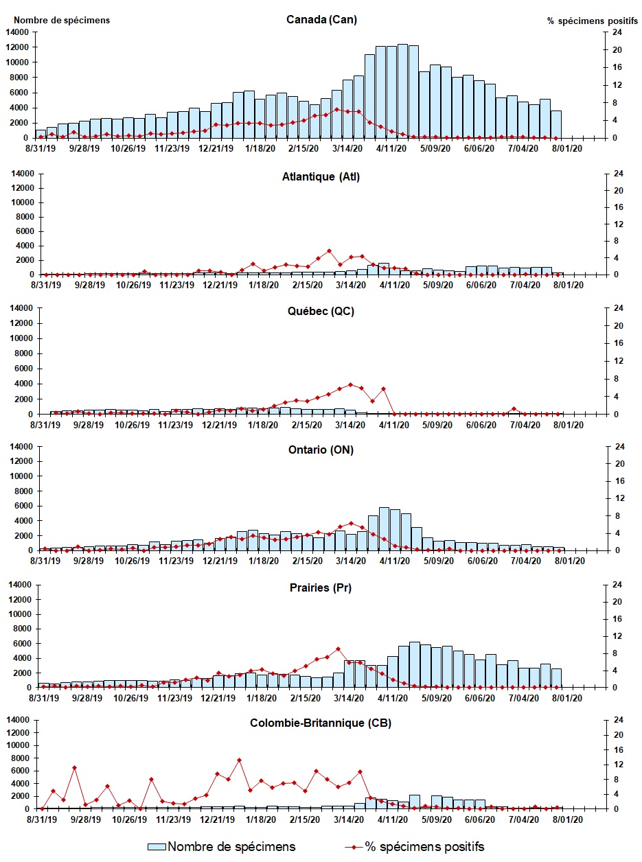 Figure 6. La version textuelle suit