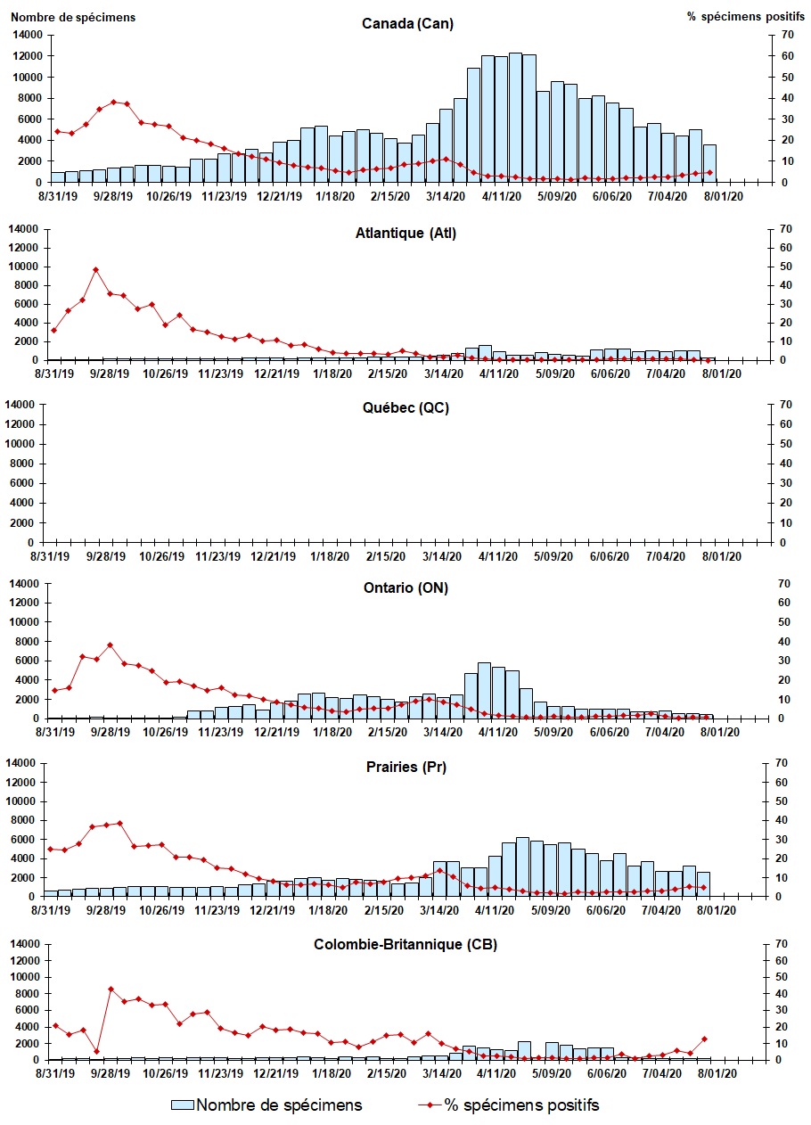 Figure 7. La version textuelle suit