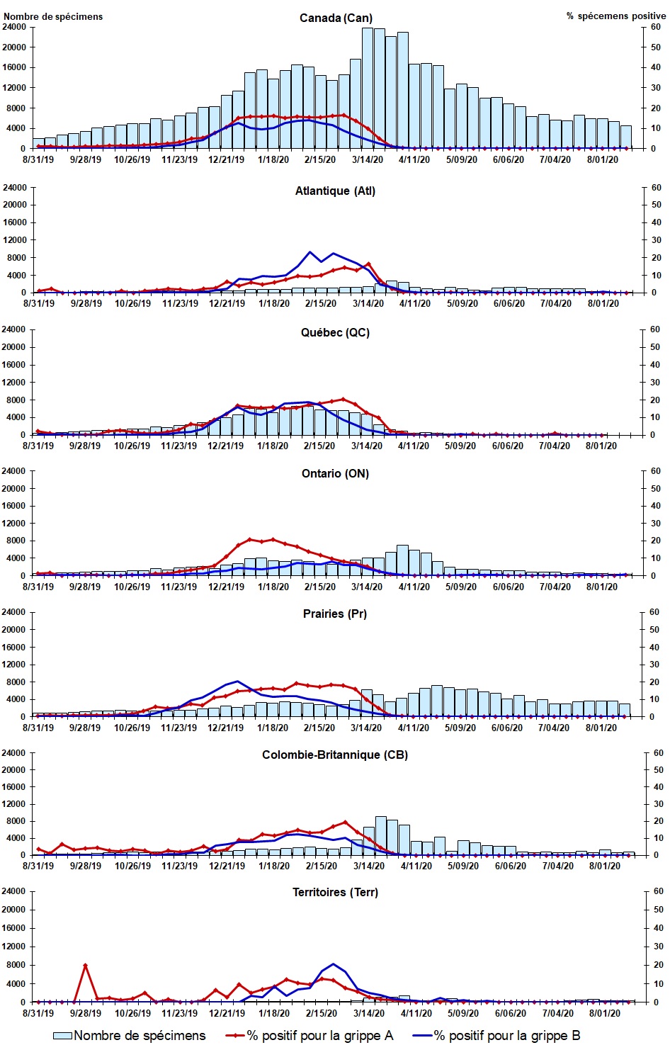 Figure 2. La version textuelle suit