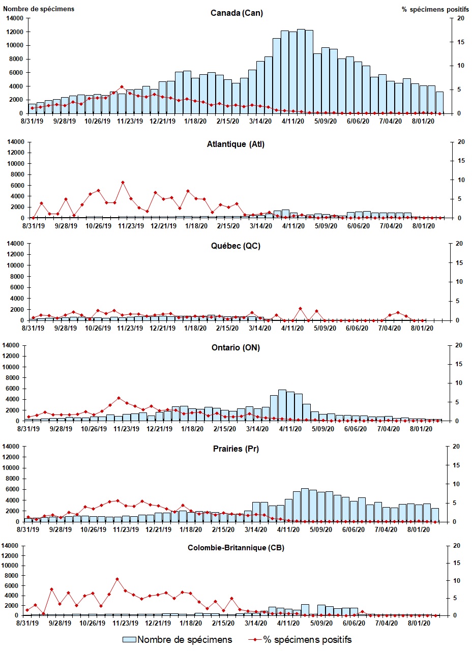 Figure 4. La version textuelle suit