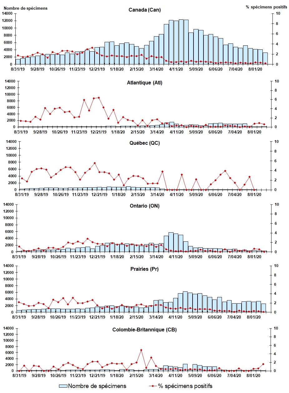 Figure 5. La version textuelle suit