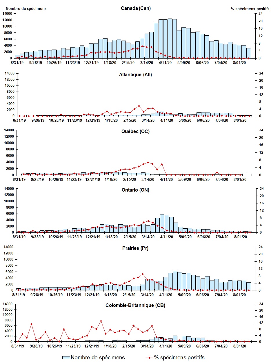 Figure 6. La version textuelle suit