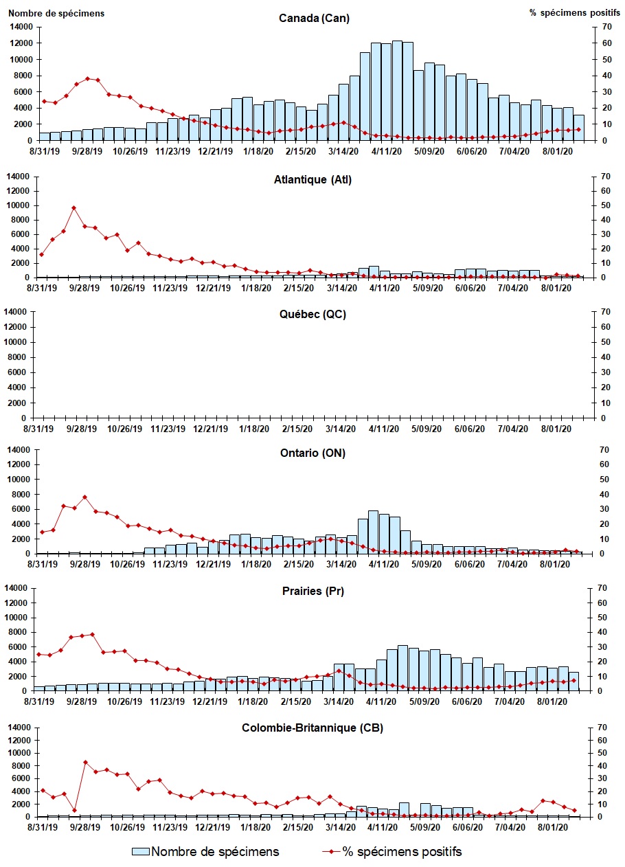 Figure 7. La version textuelle suit