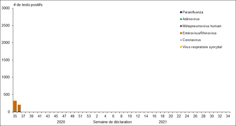 Figure 1. La version textuelle suit