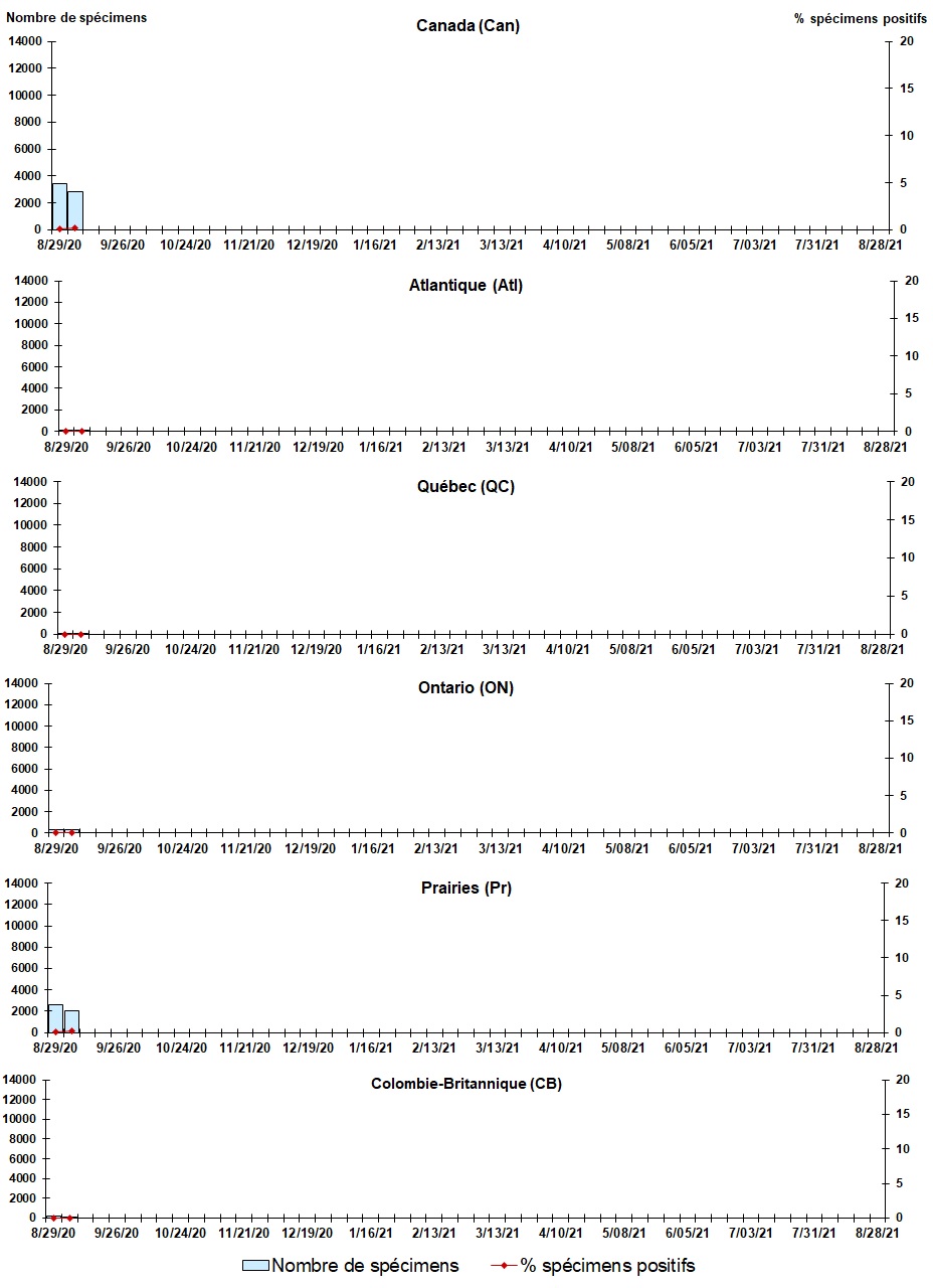 Figure 4. La version textuelle suit