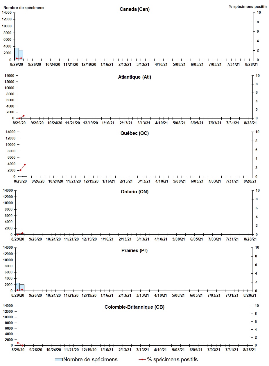 Figure 5. La version textuelle suit