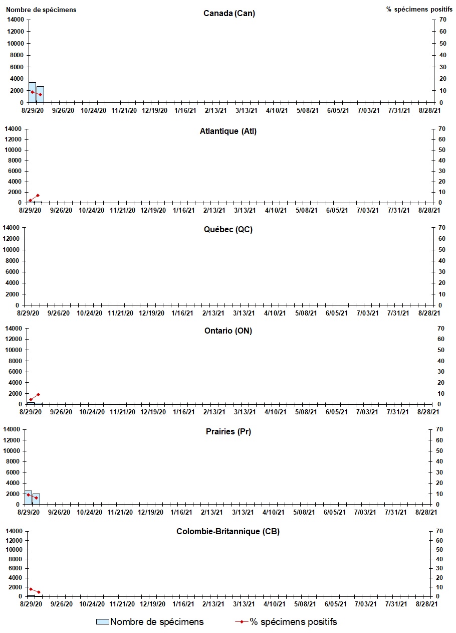 Figure 7. La version textuelle suit