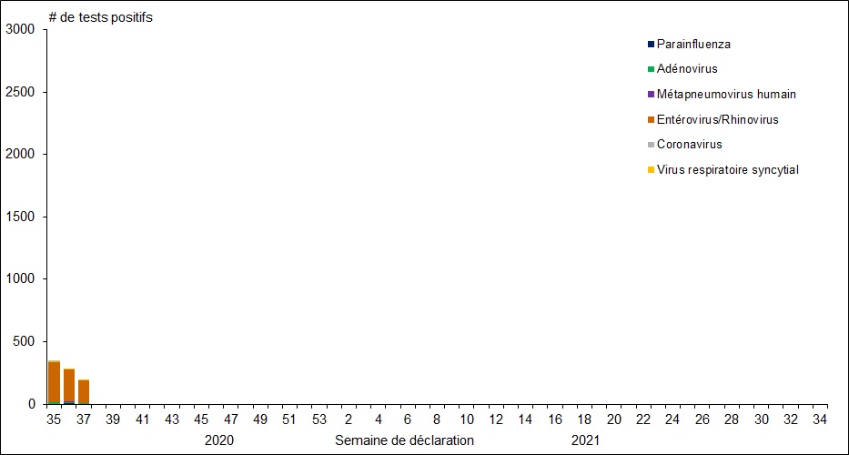 Figure 1. La version textuelle suit