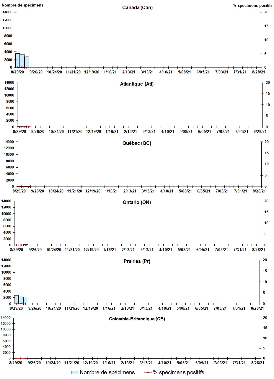 Figure 4. La version textuelle suit