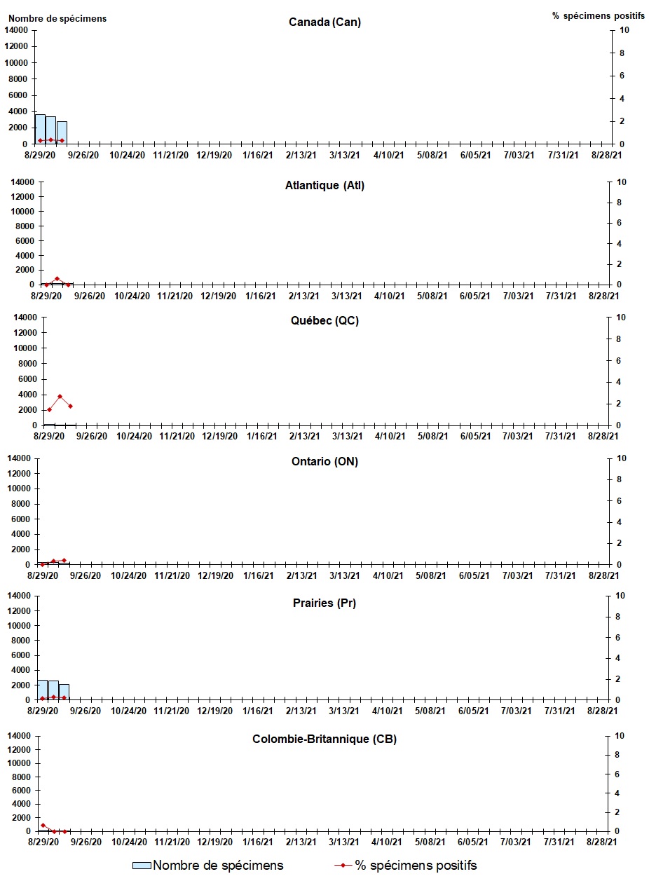 Figure 5. La version textuelle suit