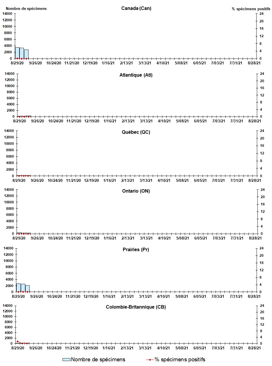 Figure 6. La version textuelle suit