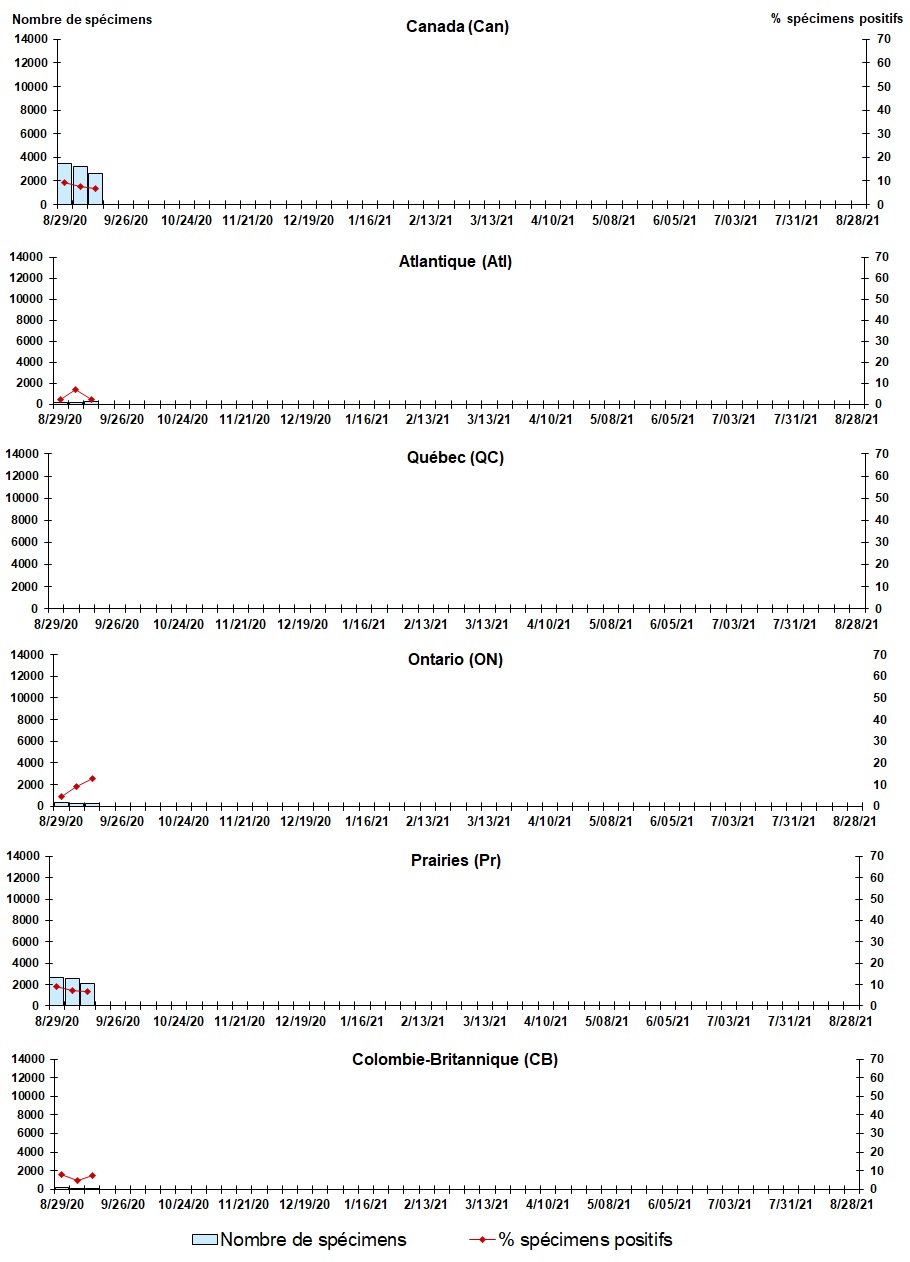 Figure 7. La version textuelle suit