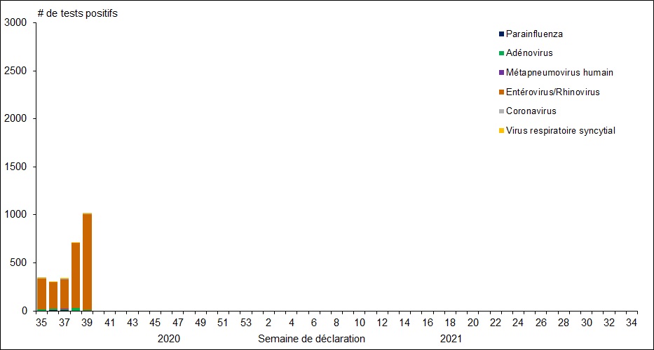 Figure 1. La version textuelle suit