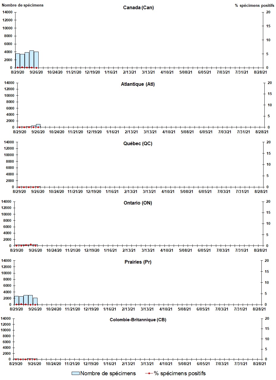 Figure 4. La version textuelle suit