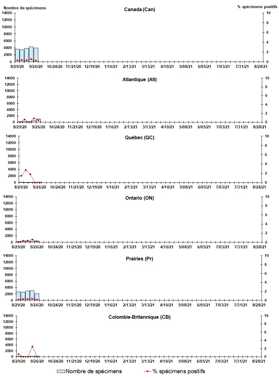 Figure 5. La version textuelle suit