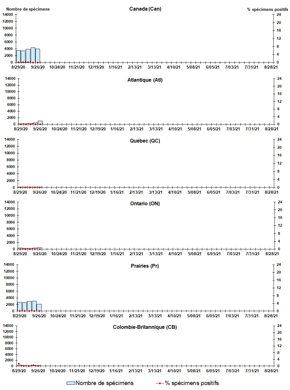 Figure 6. La version textuelle suit