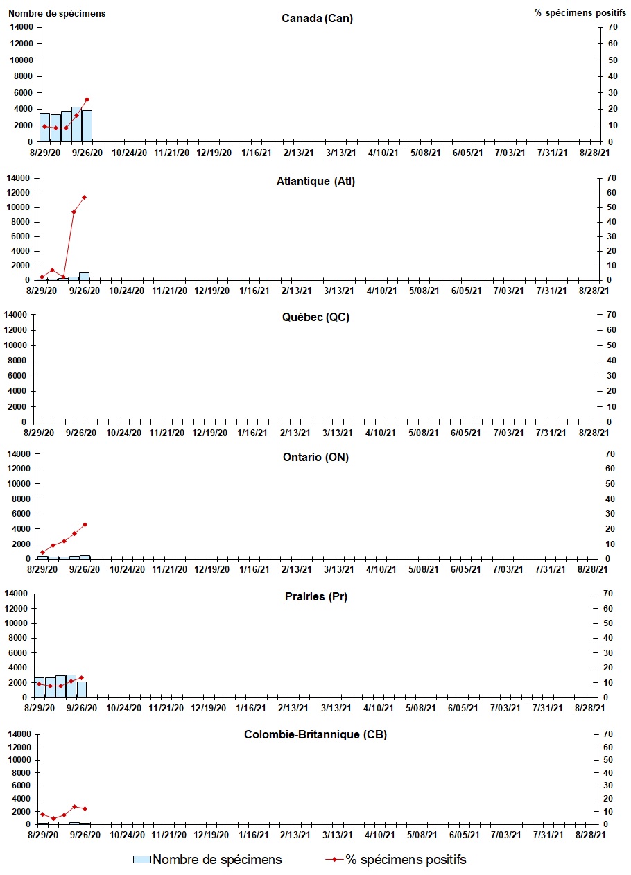 Figure 7. La version textuelle suit