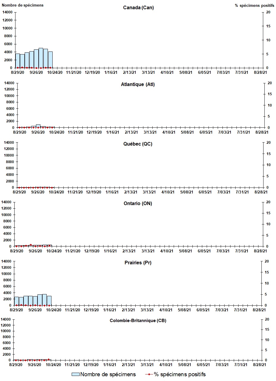 Figure 4. La version textuelle suit