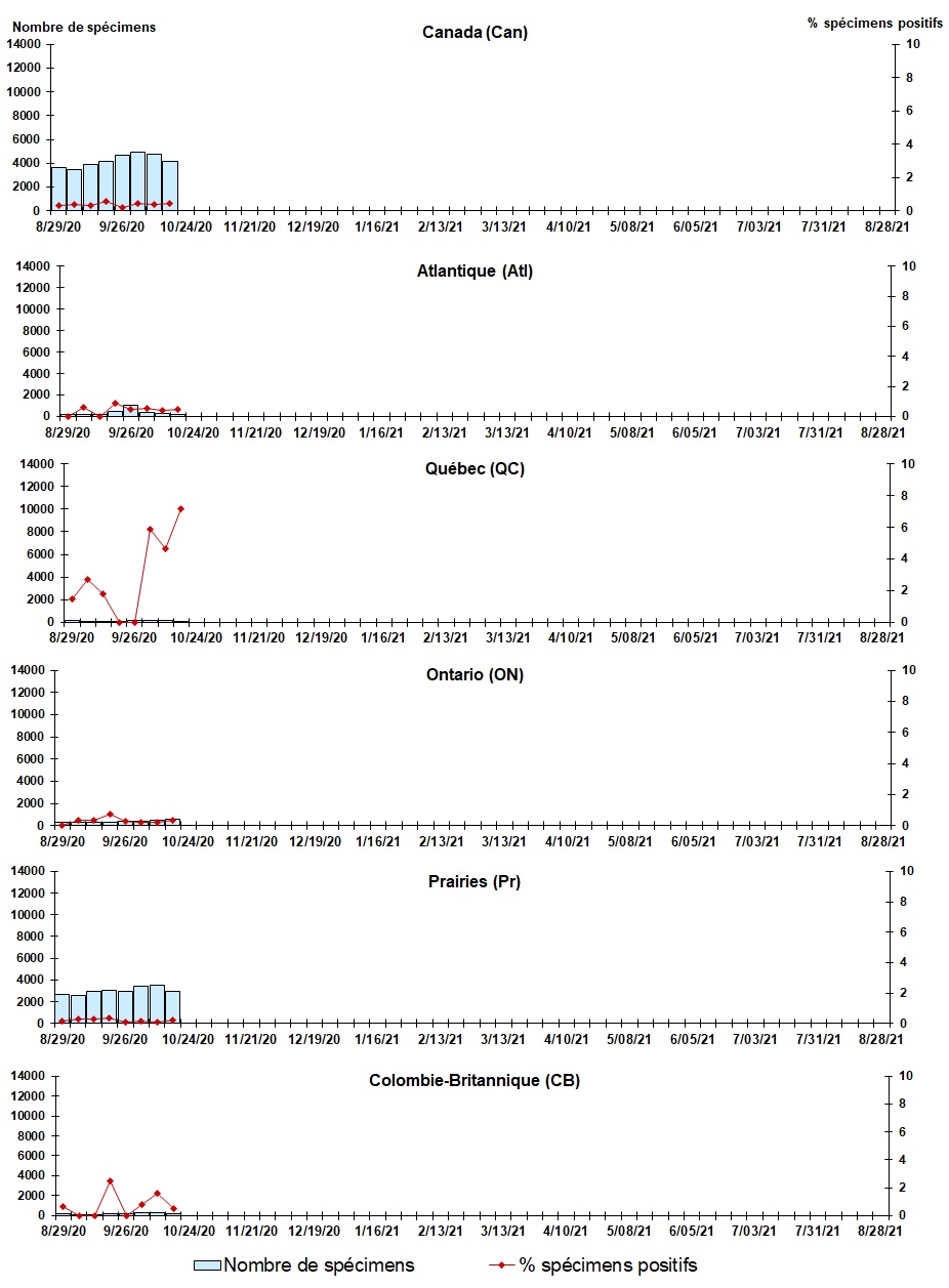Figure 5. La version textuelle suit